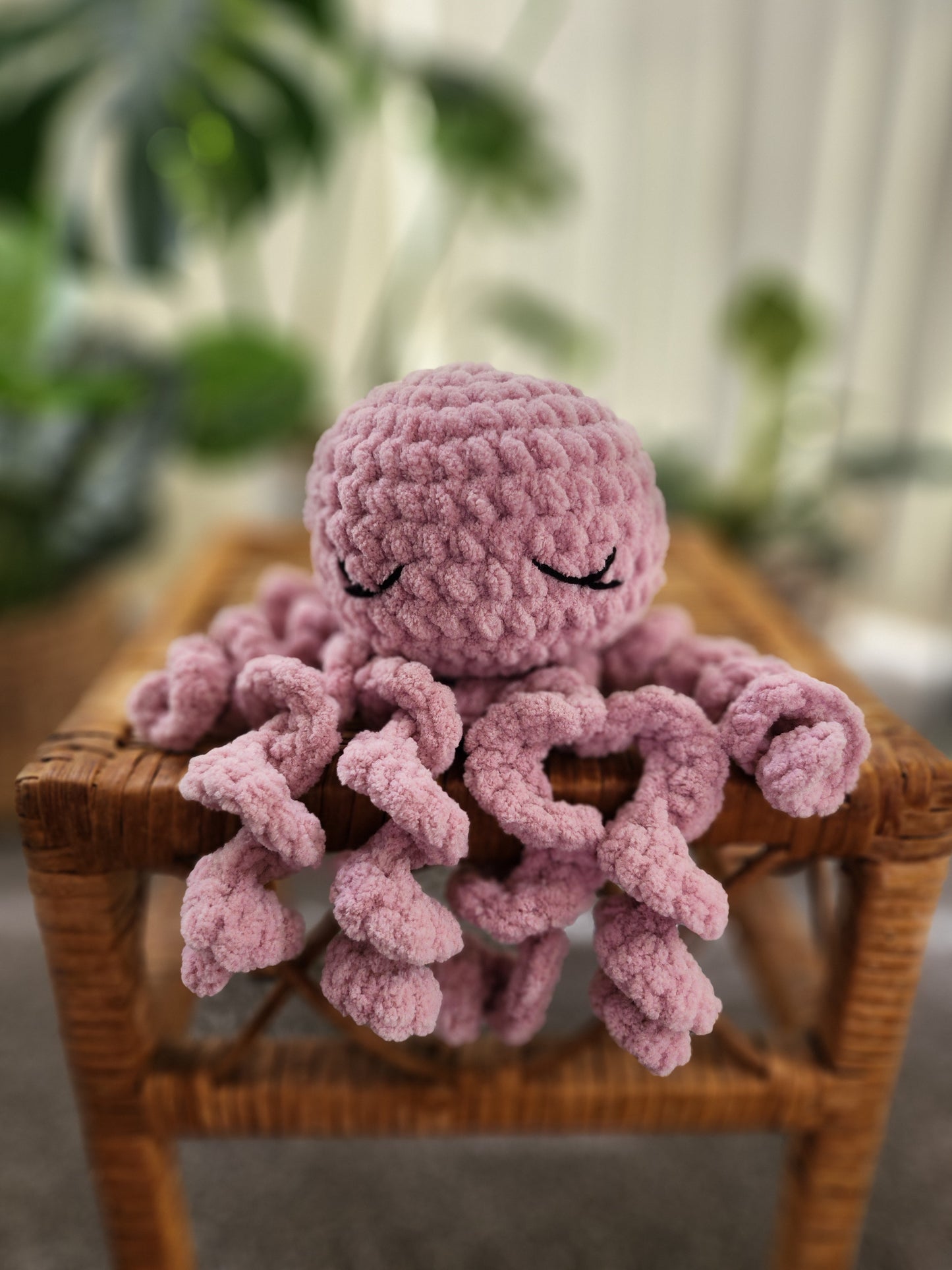 Sleepy Octopus