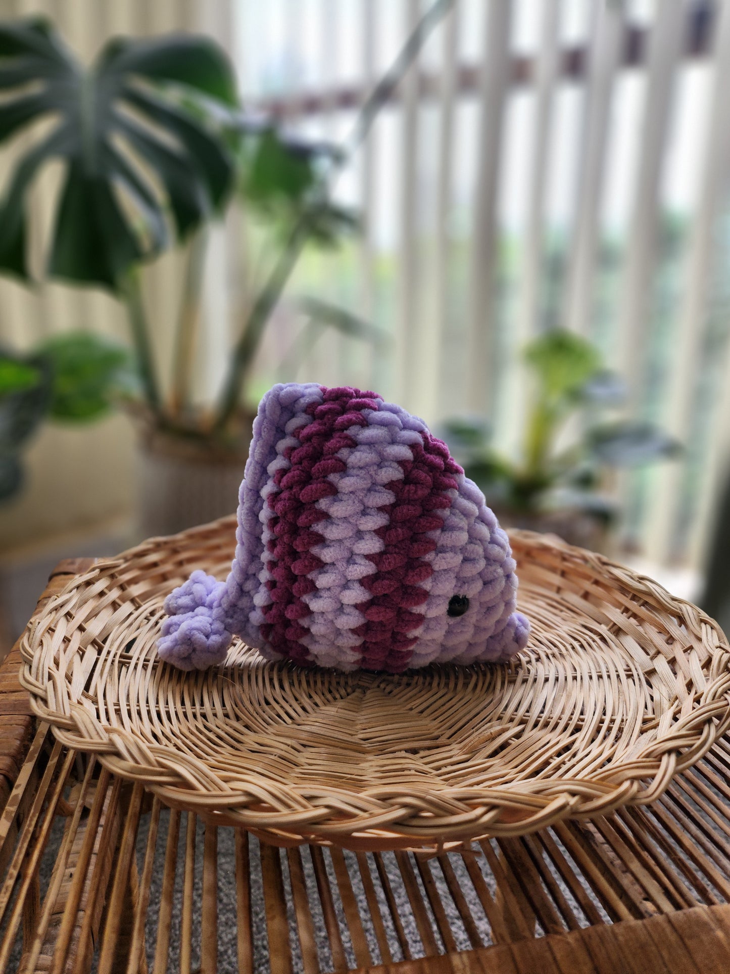 Kissy Fish - Bebe size