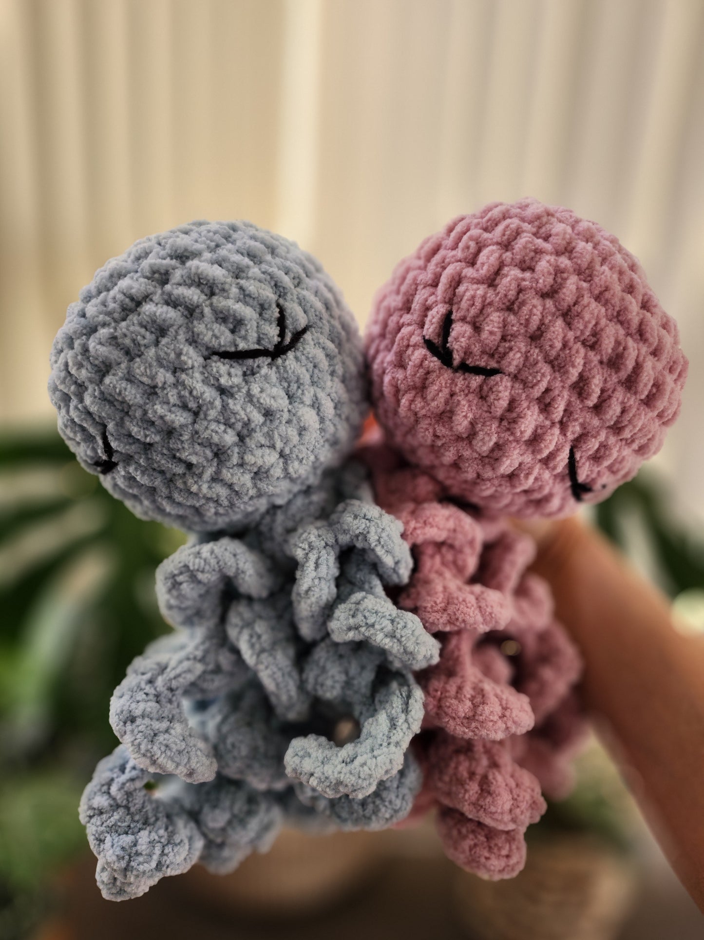 Sleepy Octopus
